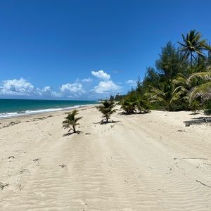 Meet your Posher, Karl